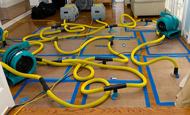 Professional Water Damage Repair technician working in Rosholt, WI